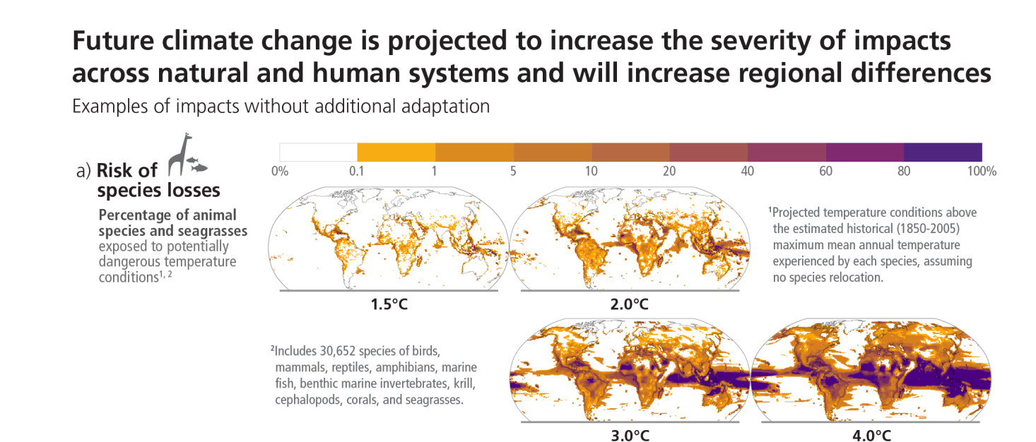 The impacts of the climate crisis on species loss