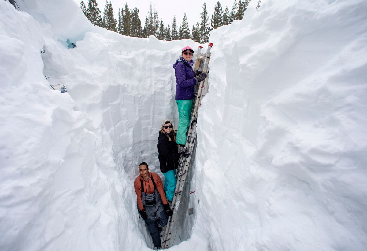 South Lake Tahoe Snowfall 2024 - Avril Carleen