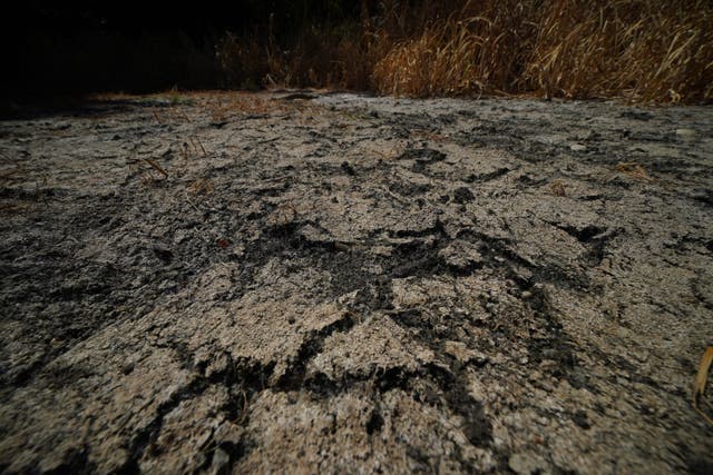 Dried soil in August 2022 as record-breaking temperatures last summer triggered a surge in subsidence claim payouts, according to the Association of British Insurers (Yui Mok/PA)