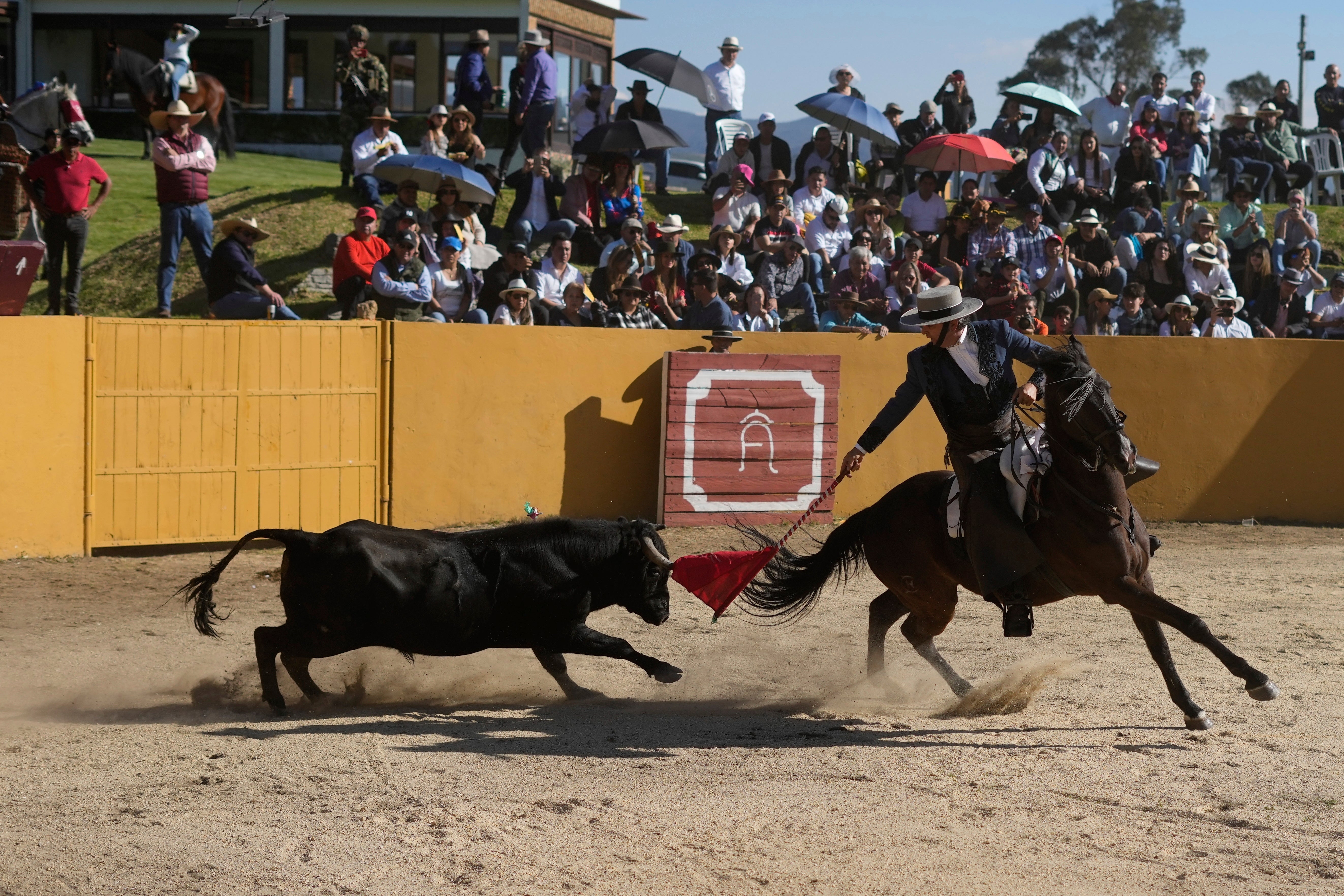 Colombia Bullfights