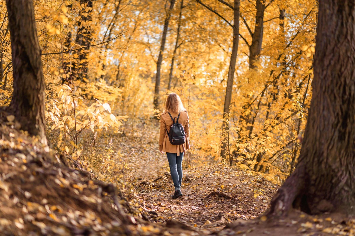 Third of young people ‘very worried’ about climate change