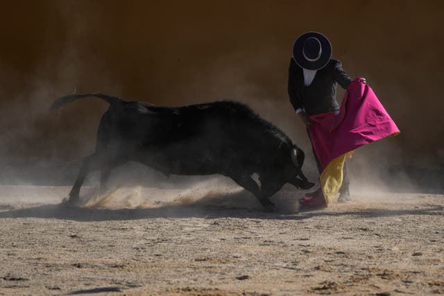 <p>COLOMBIA-TAUROMAQUIA</p>