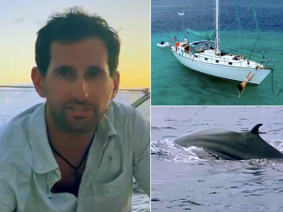 Group of friends rescued after their boat was hit by a massive whale in Pacific