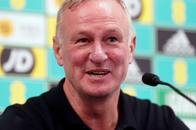 Michael O’Neill has his sights set on reaching another European Championship (Brian Lawless/PA)