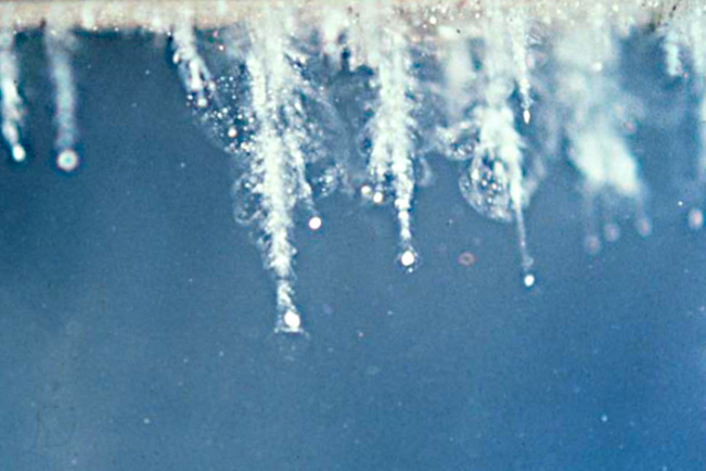 <p>Aunque no forma parte de este estudio, esta foto tomada con un microscopio muestra las trayectorias de impacto y los cuerpos de pequeñas partículas de restos de cometa de la misión Stardust de la agencia espacial estadounidense NASA en 2004</p>
