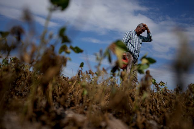 APTOPIX Argentina Drought