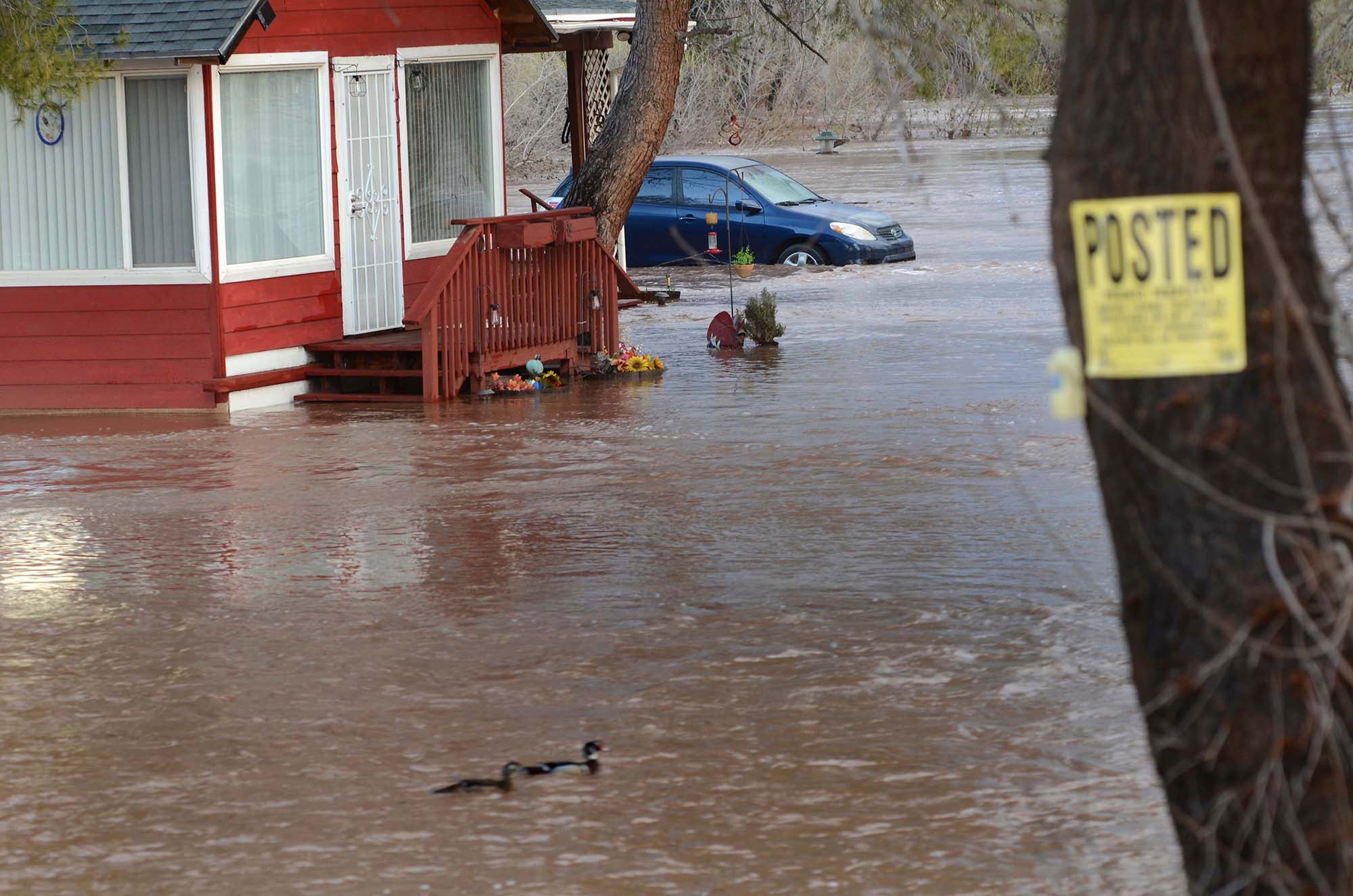 Arizona Flooding