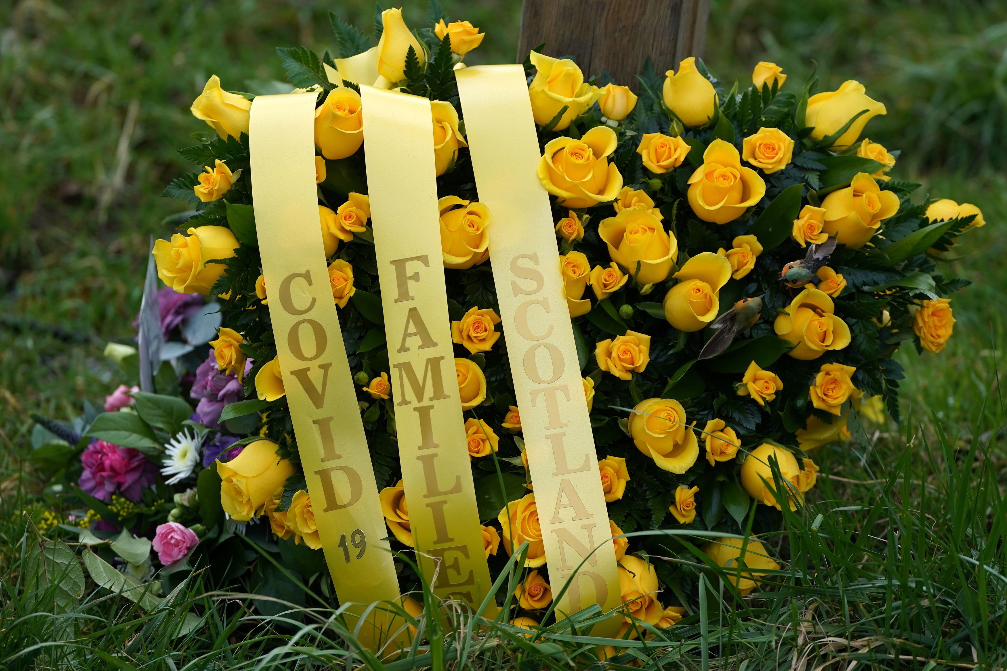 A wreath sits at Scotland's Covid Memorial in Glasgow