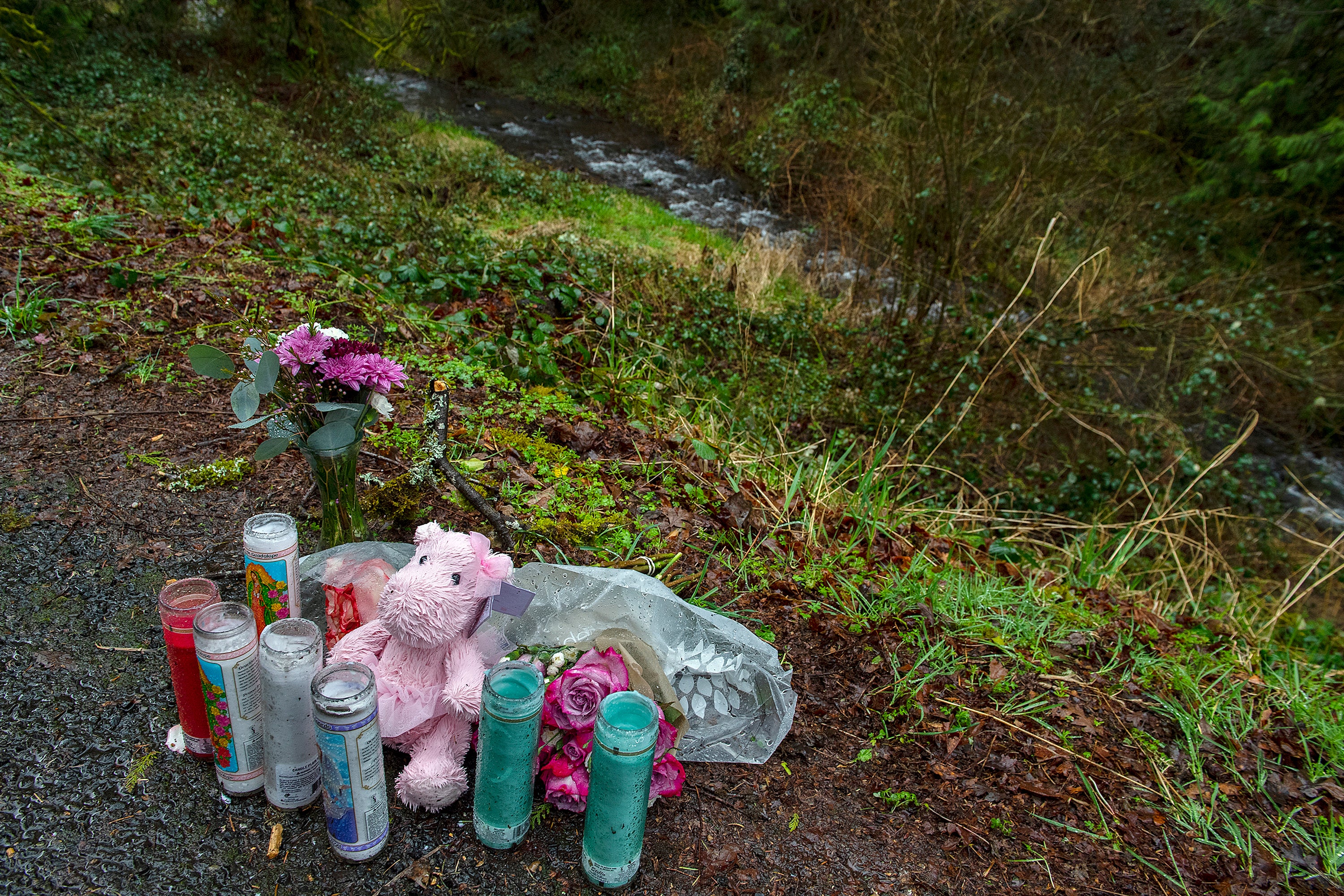 Mother Daughter Killed Protective Order