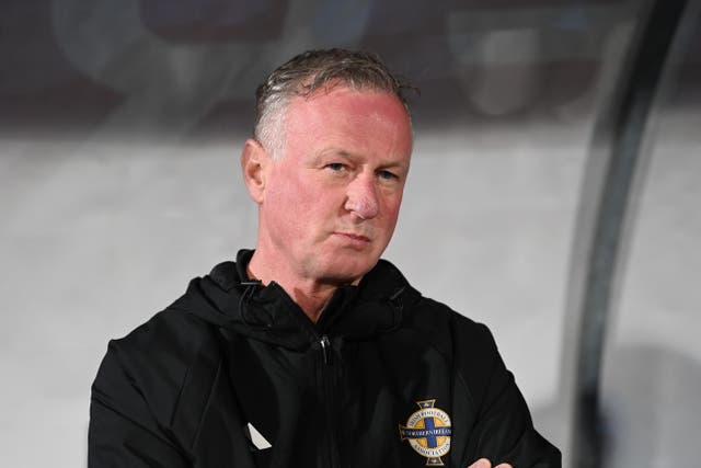 Northern Ireland head coach Michael O’Neill (Gianluca Ricci/PA)