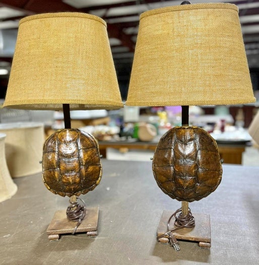 Lamps made of turtle shells set one buyer back $2,000