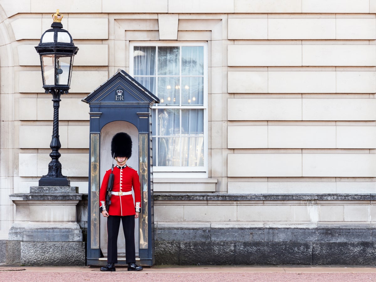 Voices: I’m a member of the royal guard. Please stop making me wear those hats