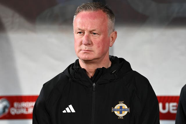 Michael O’Neill’s first home game since his return as Northern Ireland boss will come against Finland on Sunday (Gianluca Ricci/PA)