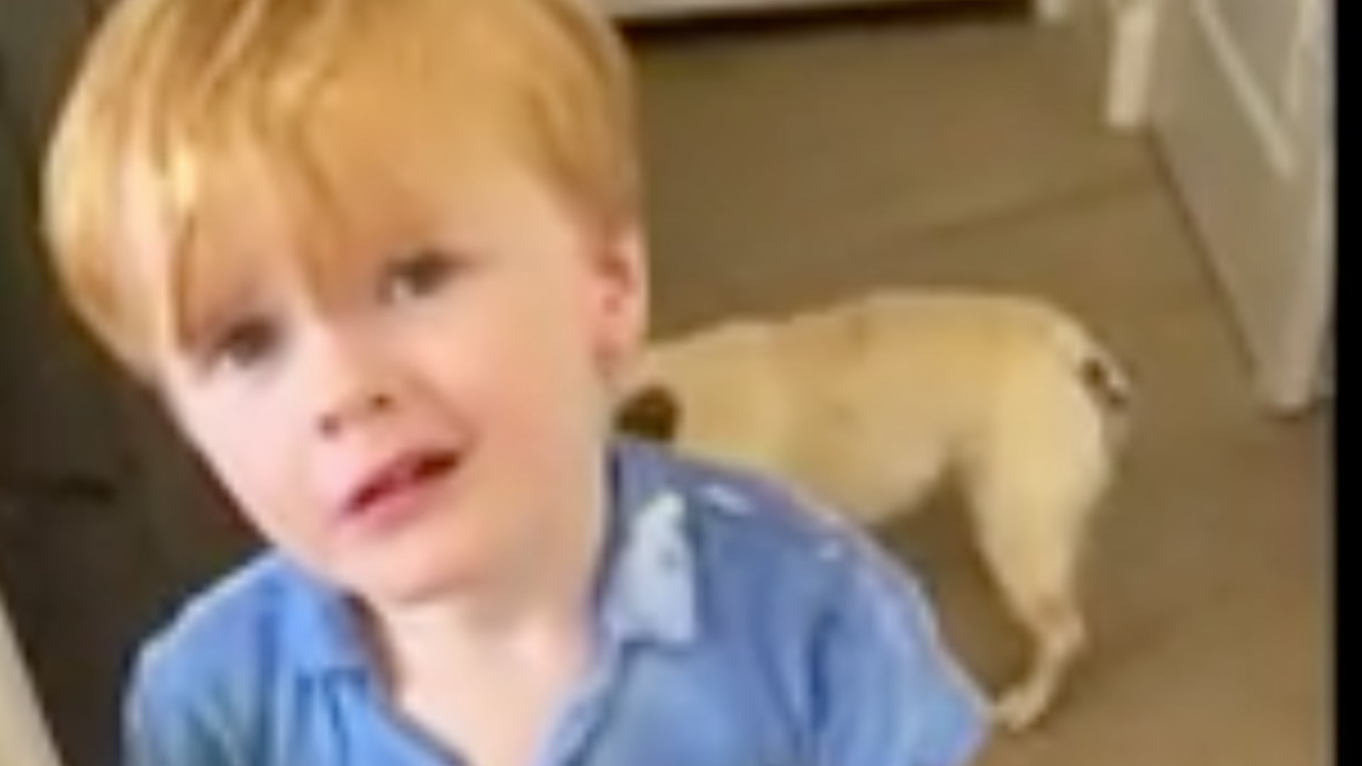 <p>Young Taylor Swift fan left furious that mother can't just 'call singer up'</p>