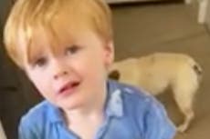 Young Taylor Swift fan left furious that mother can’t just ‘call singer up’