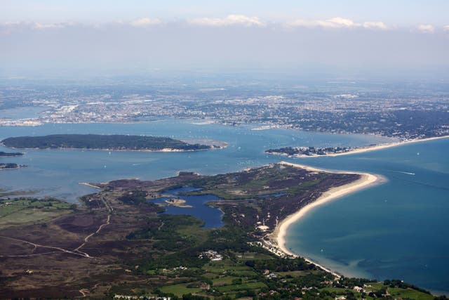 Oil has leaked into Poole Harbour (Alamy/PA)