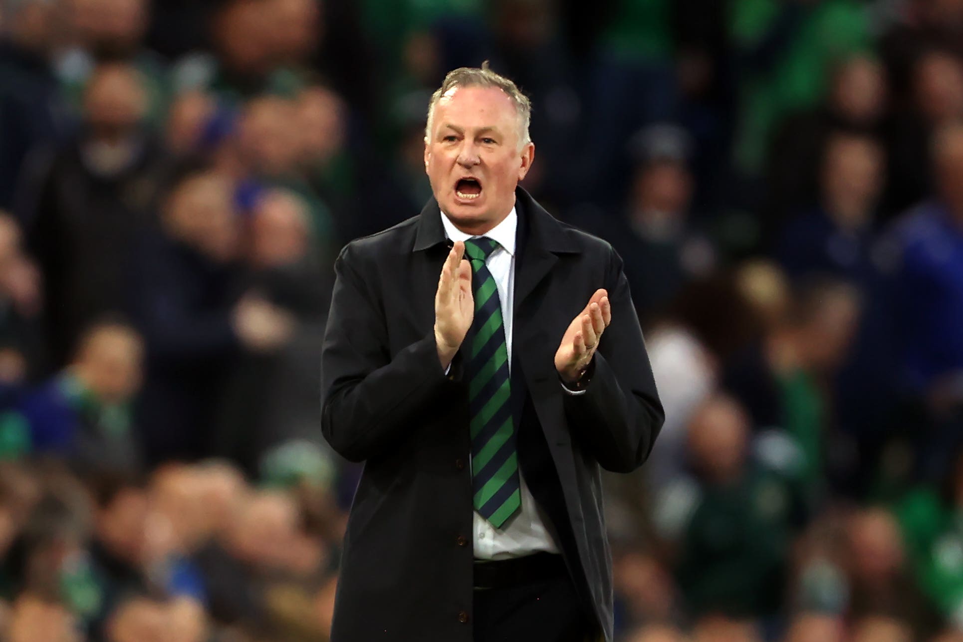 Michael O’Neill suffered defeat on his return to Windsor Park (Liam McBurney/PA)