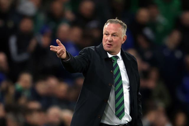 Northern Ireland manager Michael O’Neill saw his side beaten (Liam McBurney/PA)