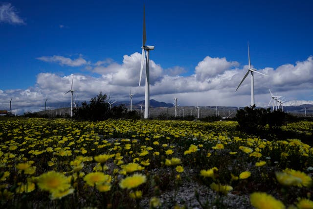 ENERGÍA EÓLICA MUNDIAL