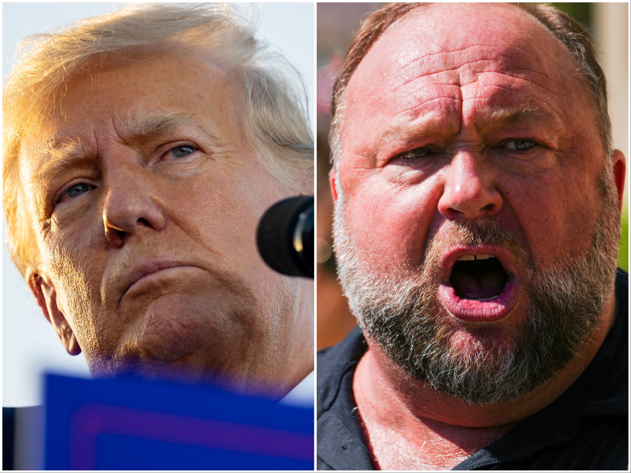 <p>Donald Trump and Alex Jones</p>