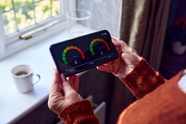 <p>A pensioner inspects her domestic energy use with a smart meter </p>