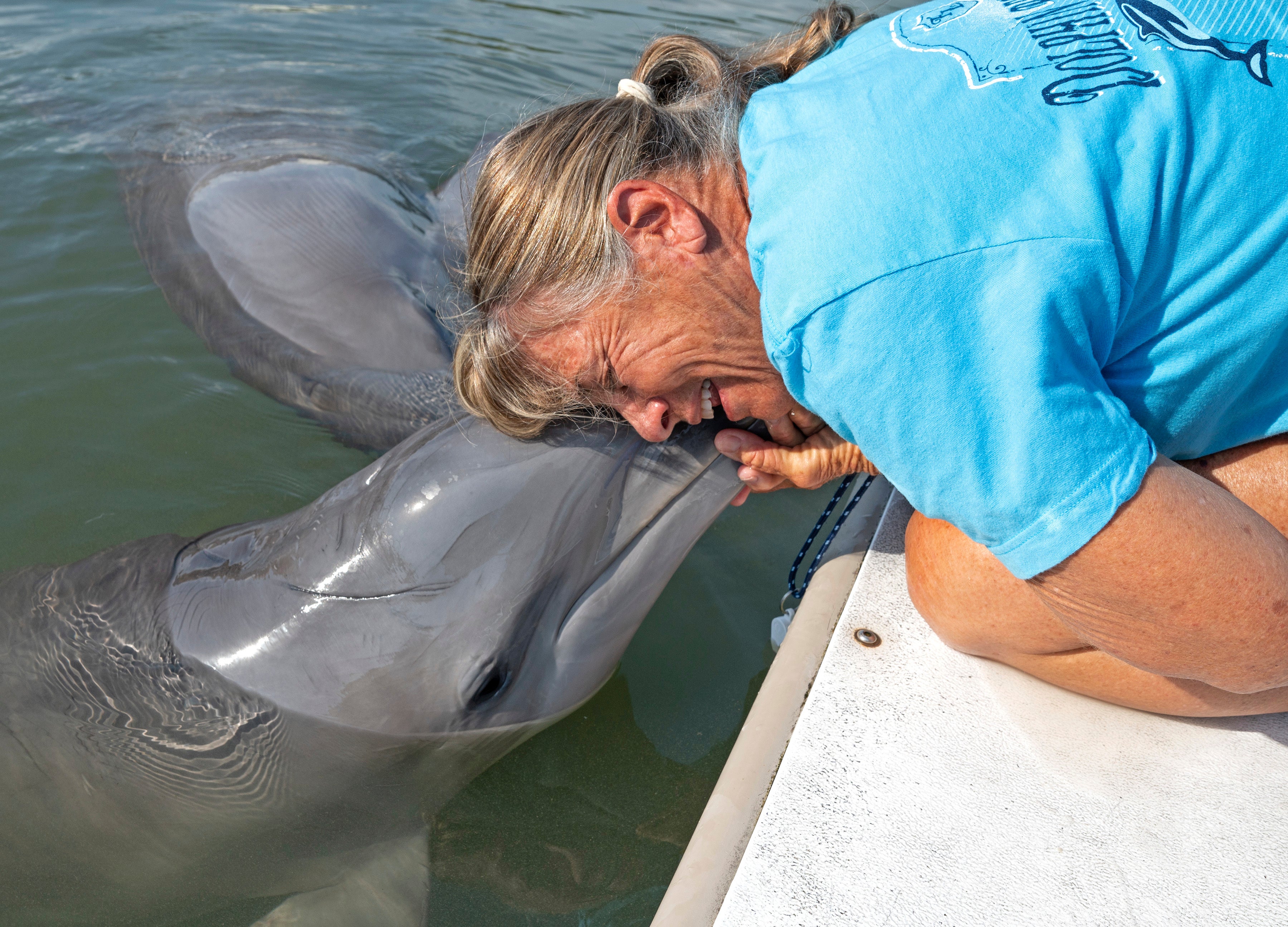 Rescue Dolphin-Florida Keys