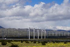 U.S. renewable electricity surpassed coal in 2022