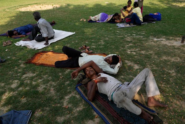 <p>People rest in the shade of a tree on a hot afternoon</p>