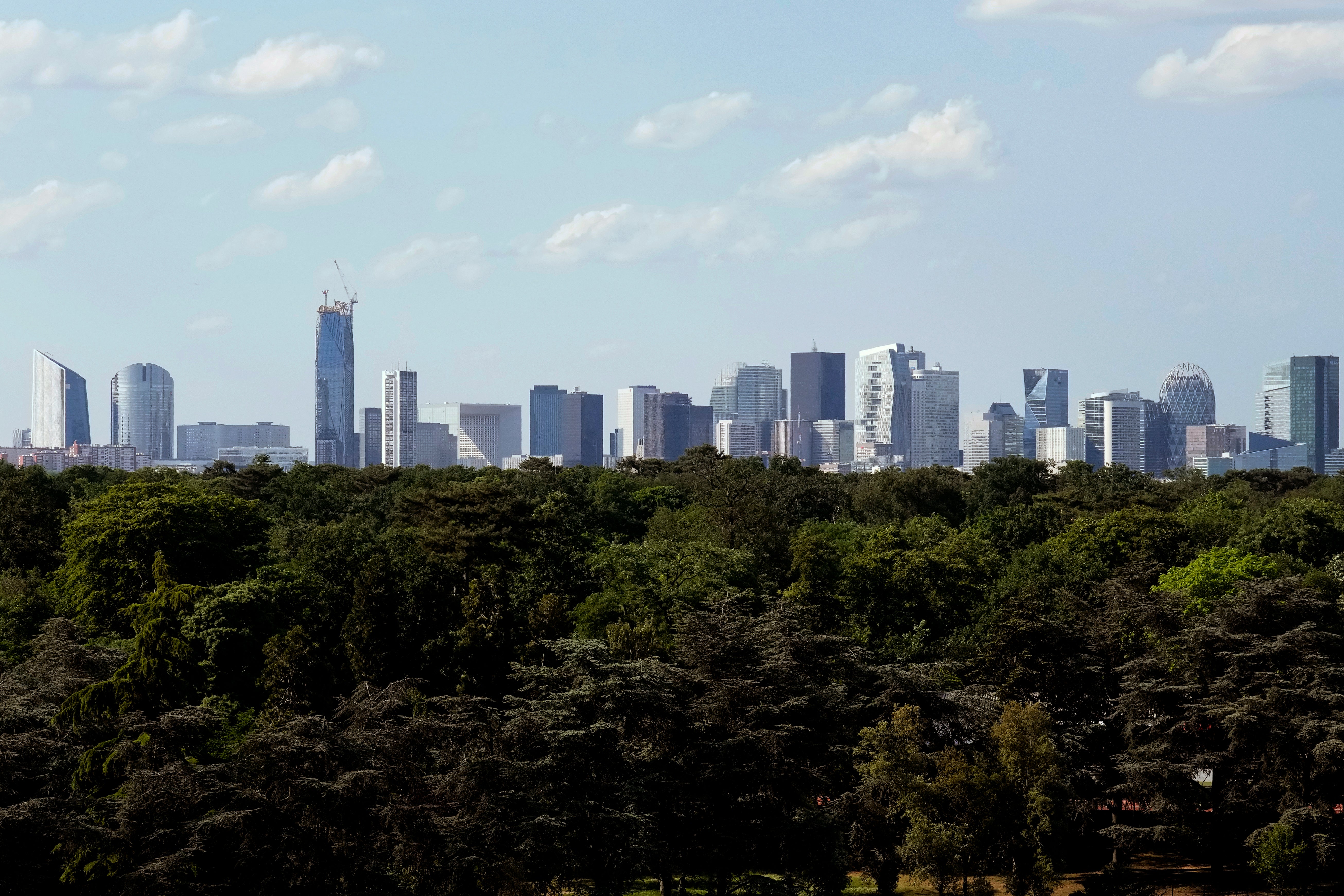 France anks Fraud Probe