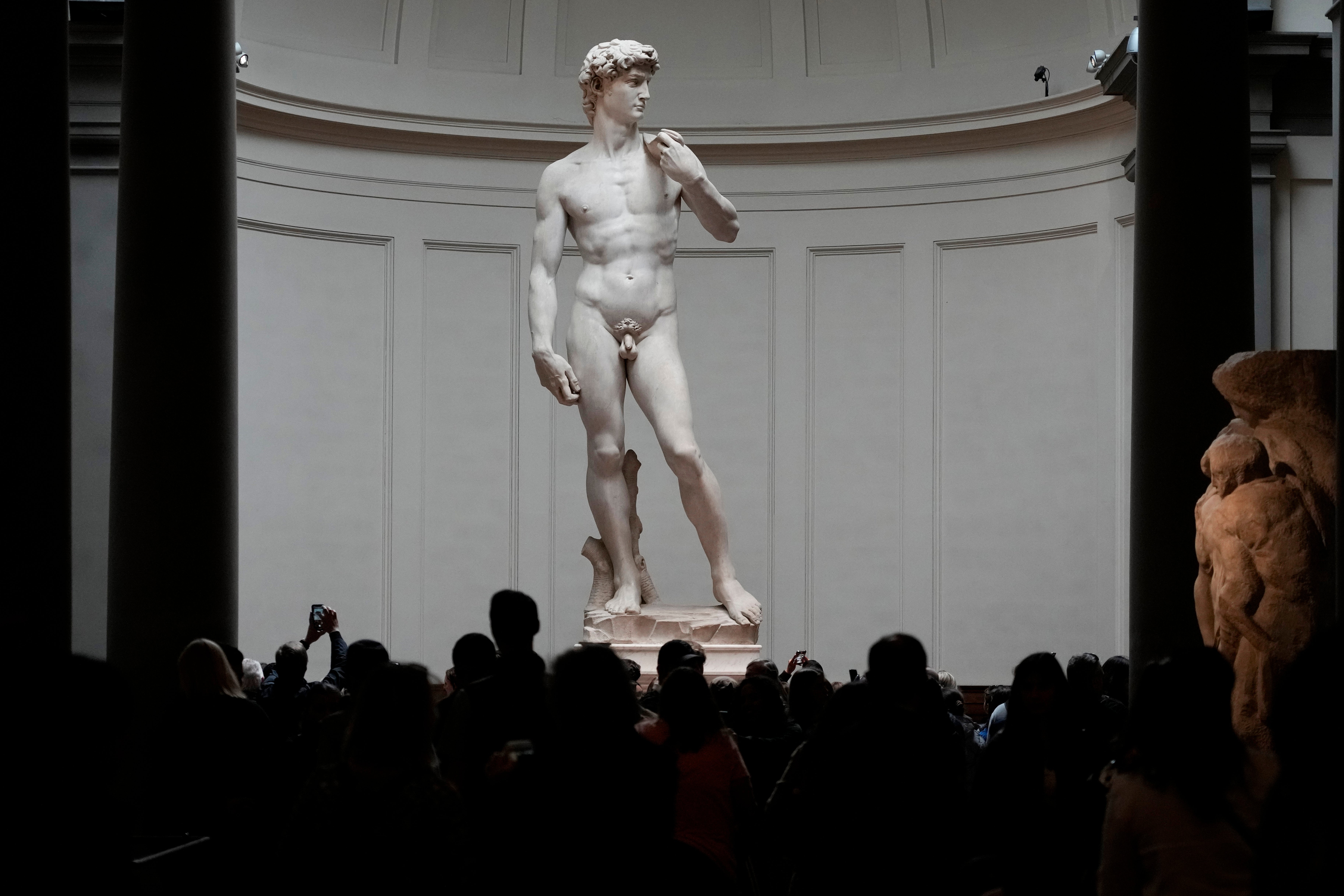 7303px x 4869px - Tourists flock to see Michelangelo's statue of David after Florida  censorship row | The Independent