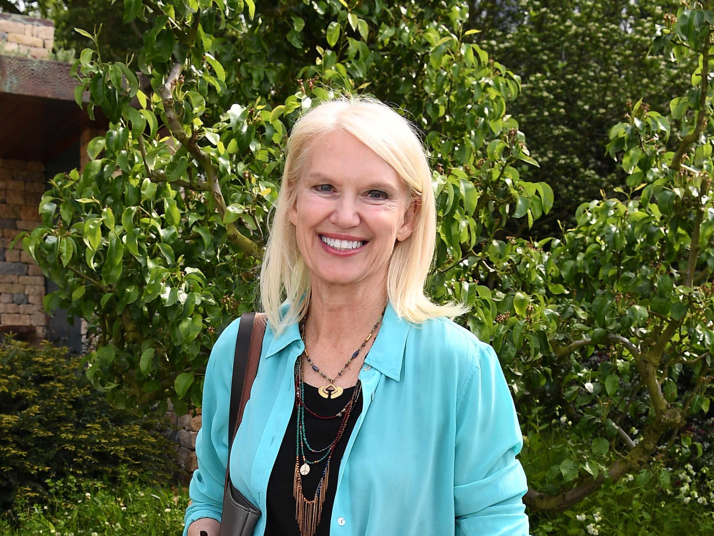 <p>Anneka Rice</p>