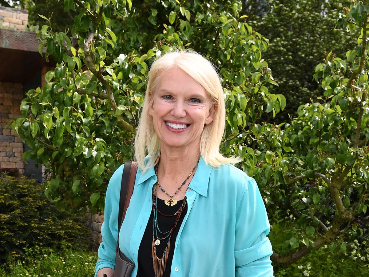 Anneka Rice responds after Challenge Anneka reboot dropped after two episodes