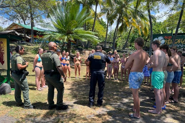 Hawaii-Dolphin Harassment