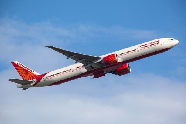 <p>Air India is flying high</p>