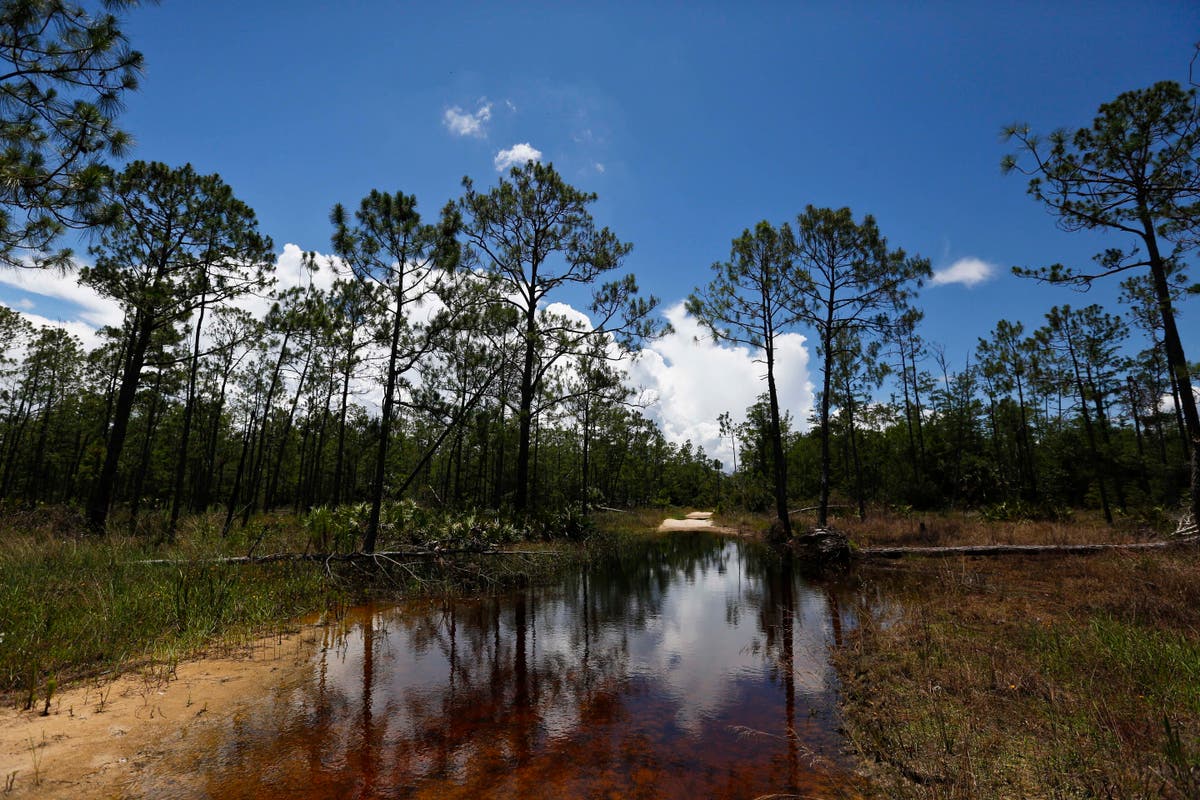 Congress approves measure to toss Biden's water protections