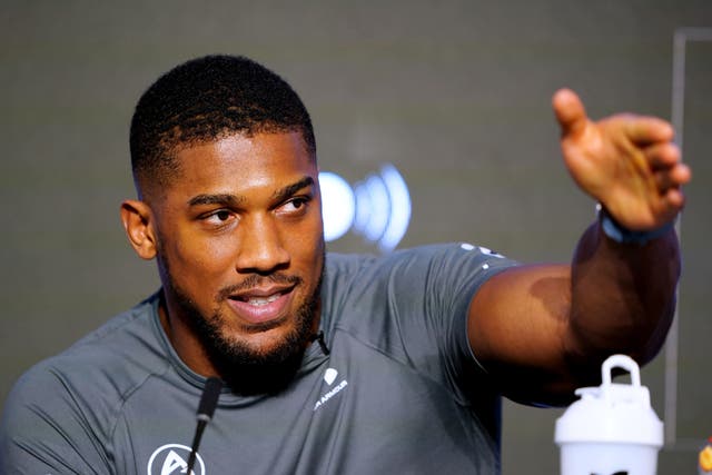 <p>Anthony Joshua will face Jermaine Franklin at the O2 Arena on Saturday (Zac Goodwin/PA)</p>