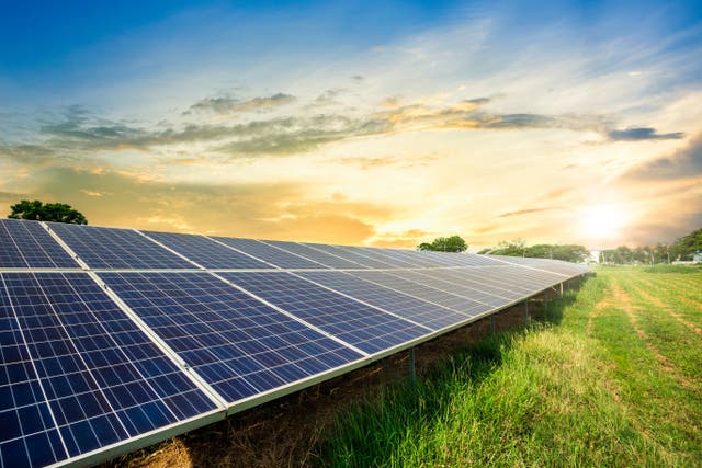 Solar powers record share of UK electricity after sunniest July ever