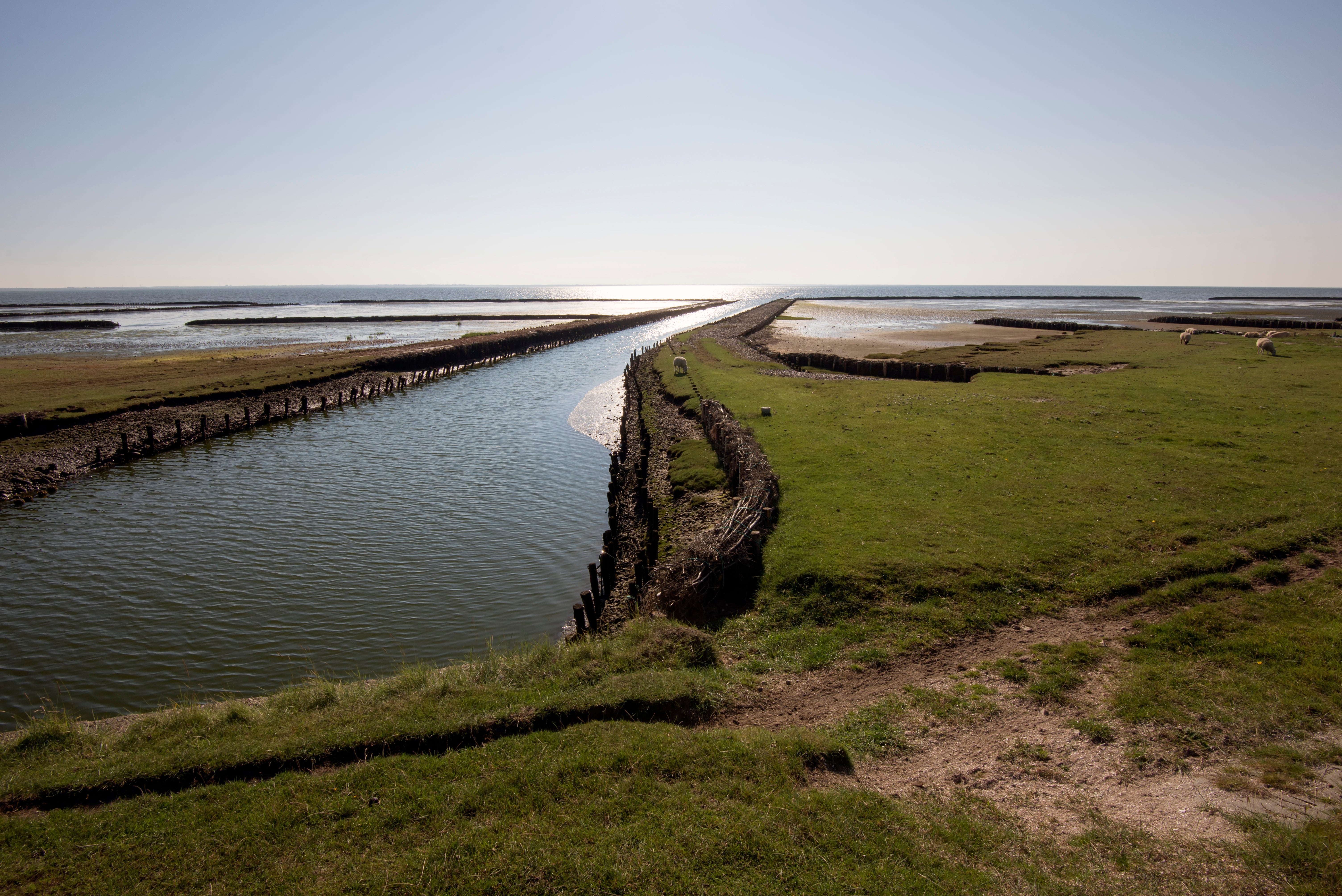 Wadden Sea National Park is a Unesco-listed area with beaches and estuaries