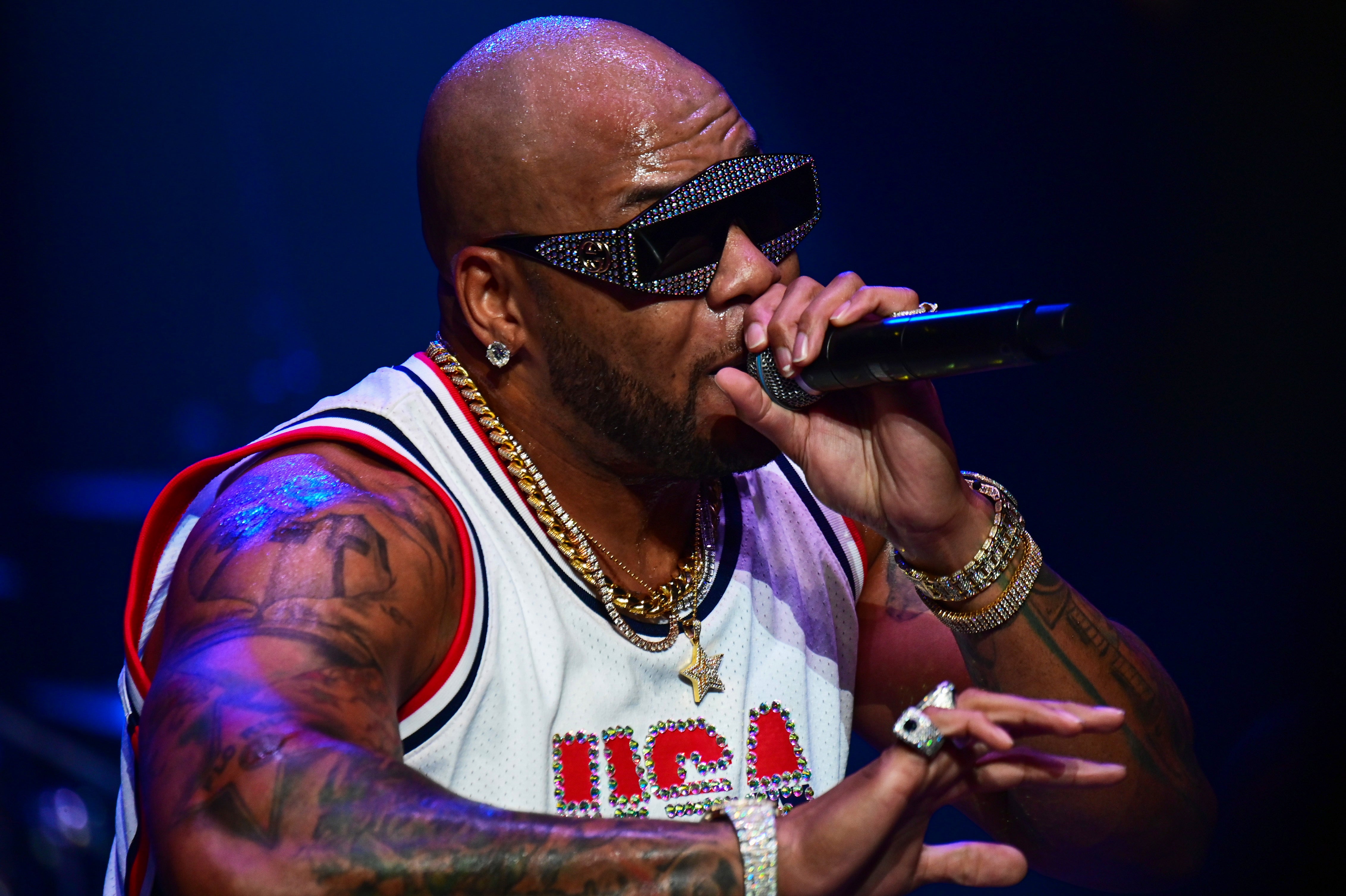 <p>Flo Rida</p>