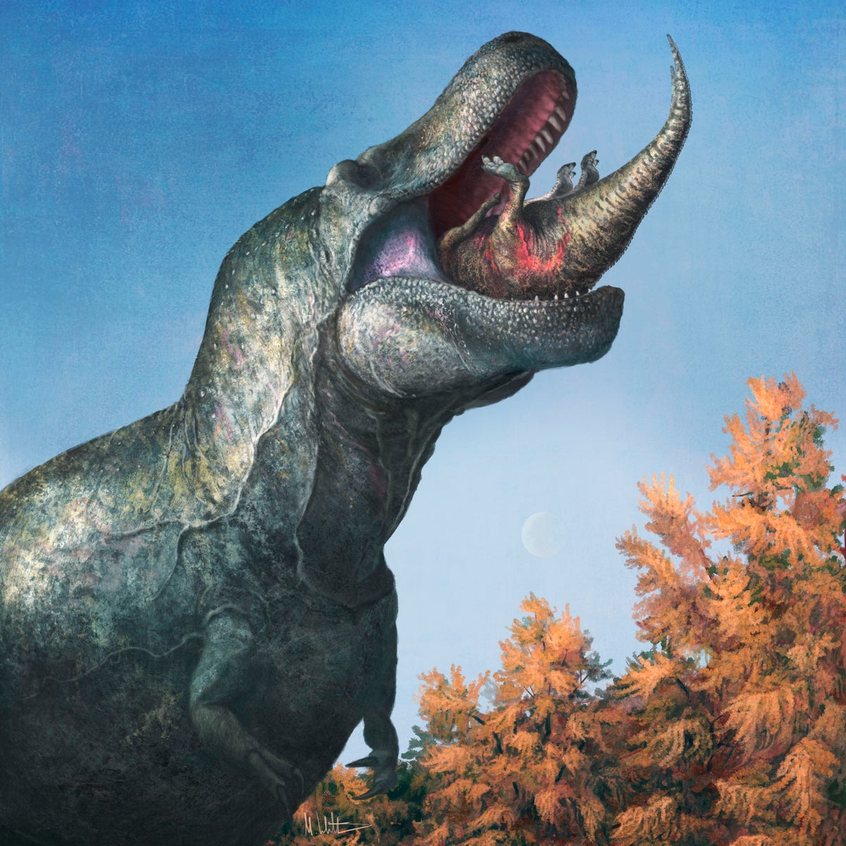 Has T. rex lost its bite? Menacing snarl may be wrong