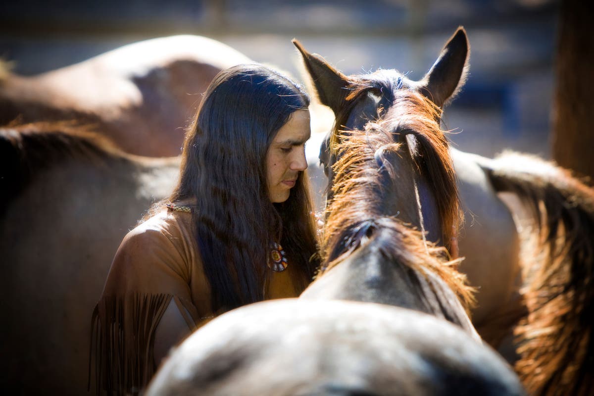 Horses came to American West by early 1600s, study finds The Independent