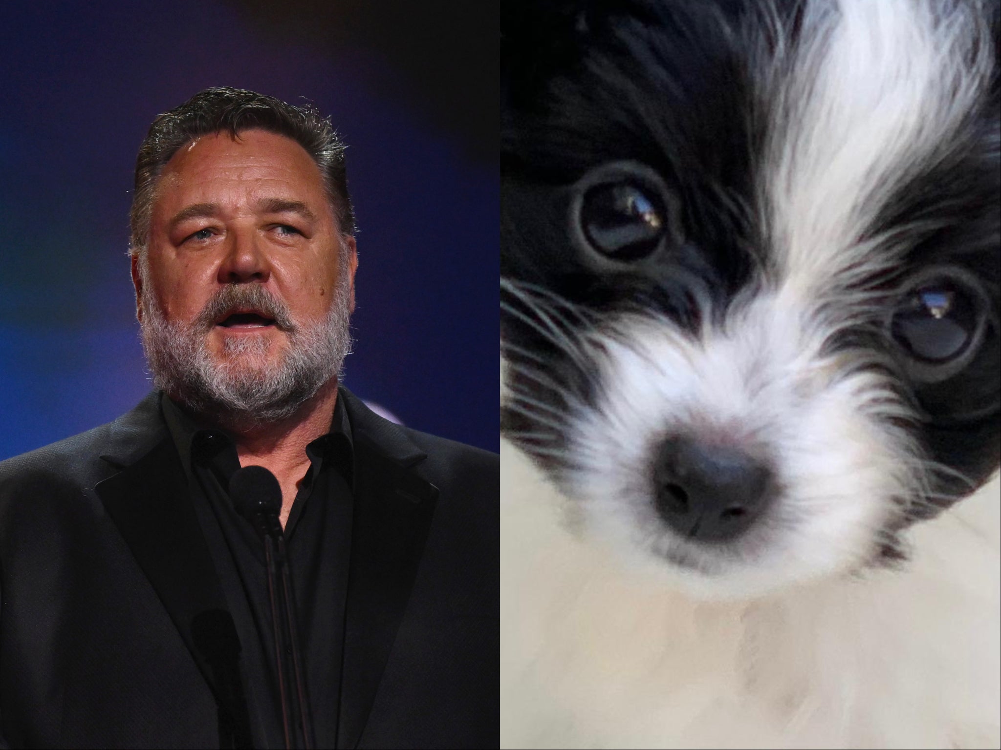 Russell Crowe and his dog, Louis