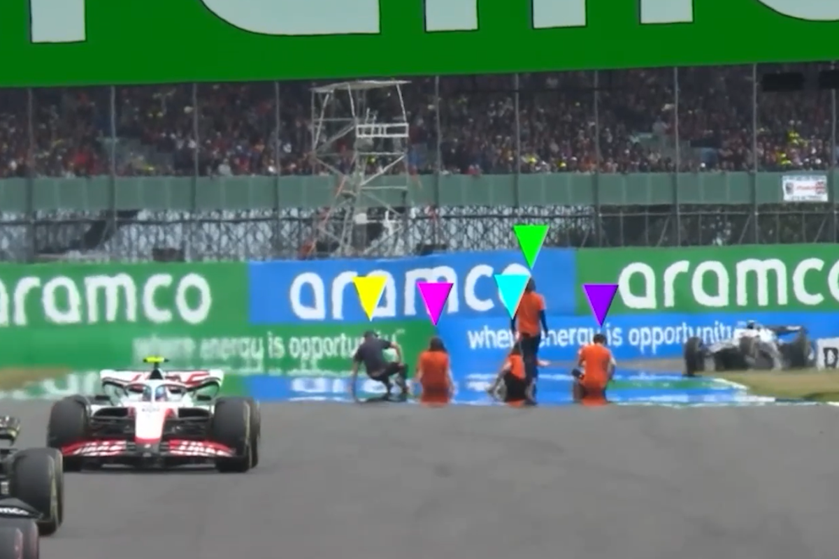 Just Stop Oil protesters spared jail over &lsquo;reckless&rsquo; Silverstone track invasion