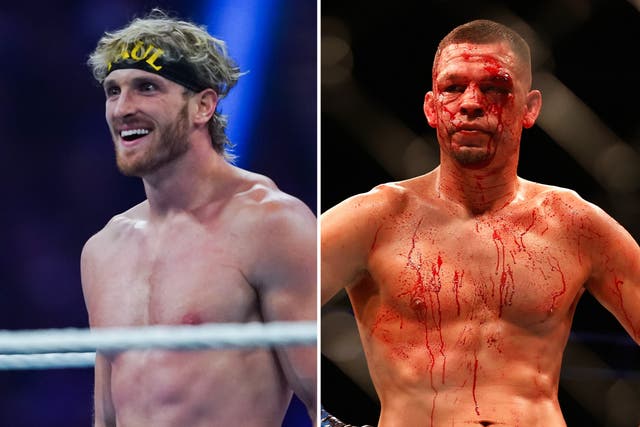 <p>Logan Paul (left) in action for WWE, and former UFC fighter Nate Diaz</p>