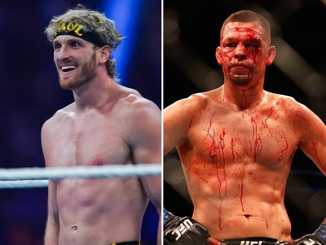 <p>Logan Paul (left) in action for WWE, and former UFC fighter Nate Diaz</p>