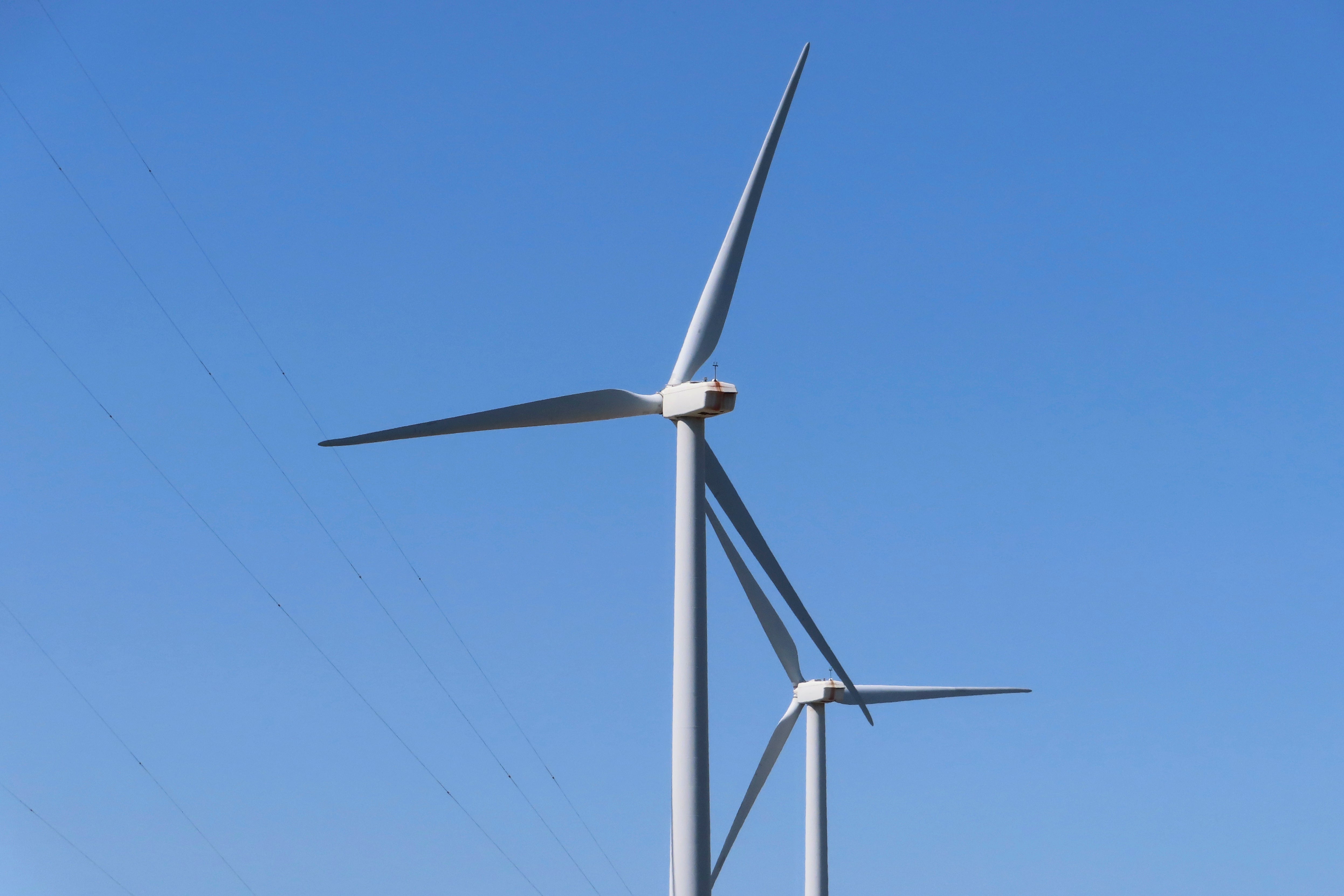 NOAA: NJ Wind Farm May 'adversely Affect,' Not Kill…