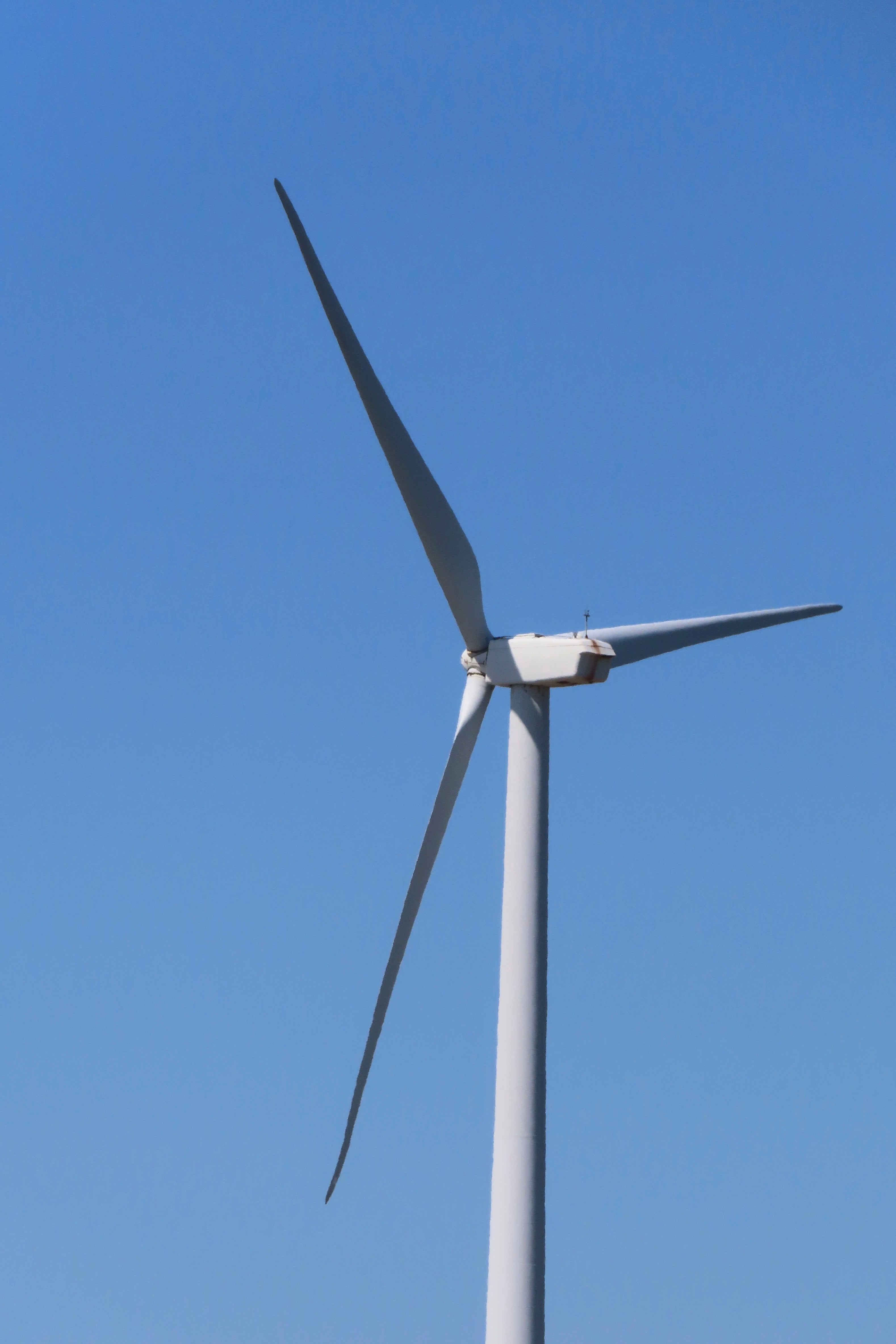 Offshore Wind-Fisheries