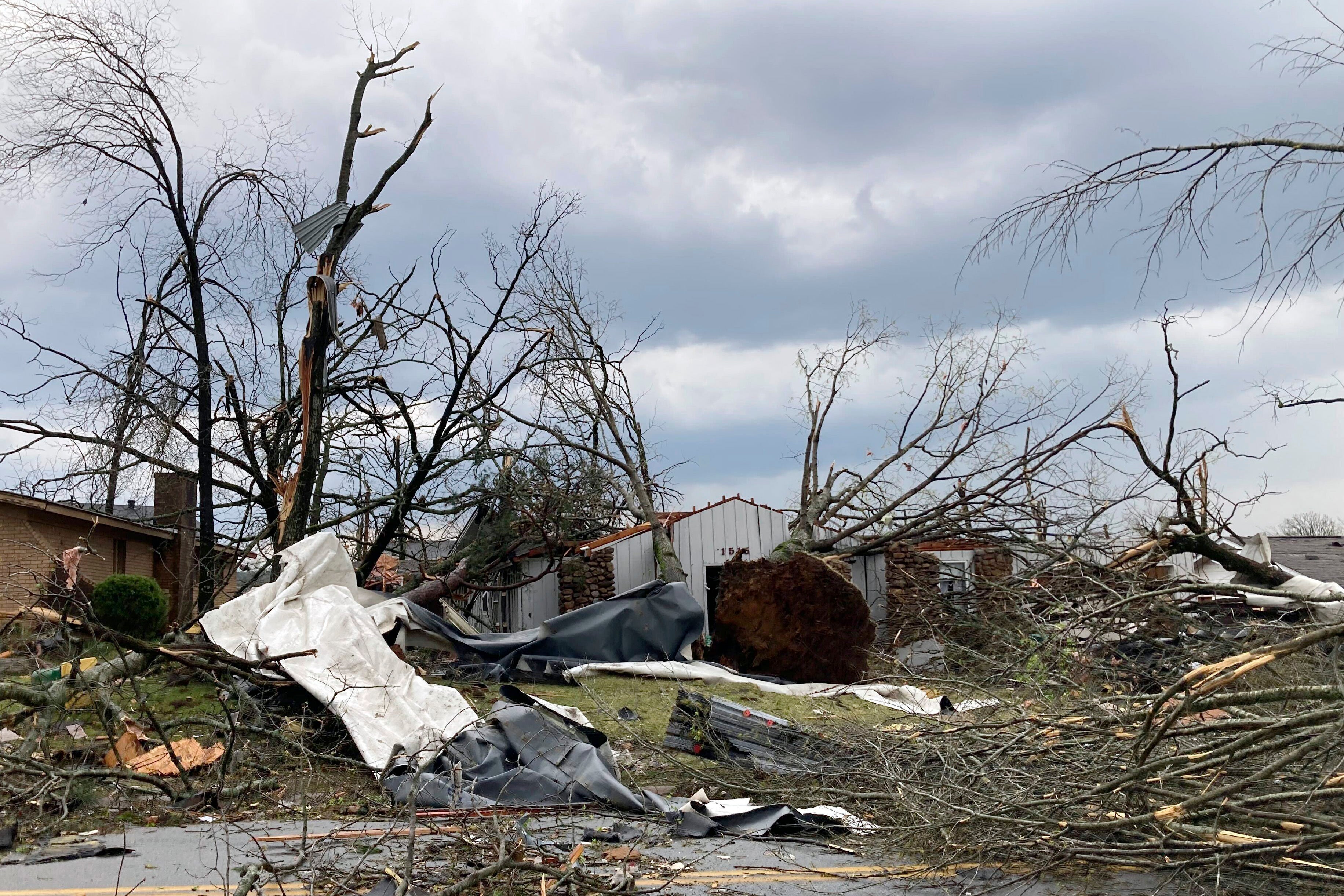 A home is damaged and trees are down after a tornado swept through Little Rock, Ark., Friday, March 31, 2023