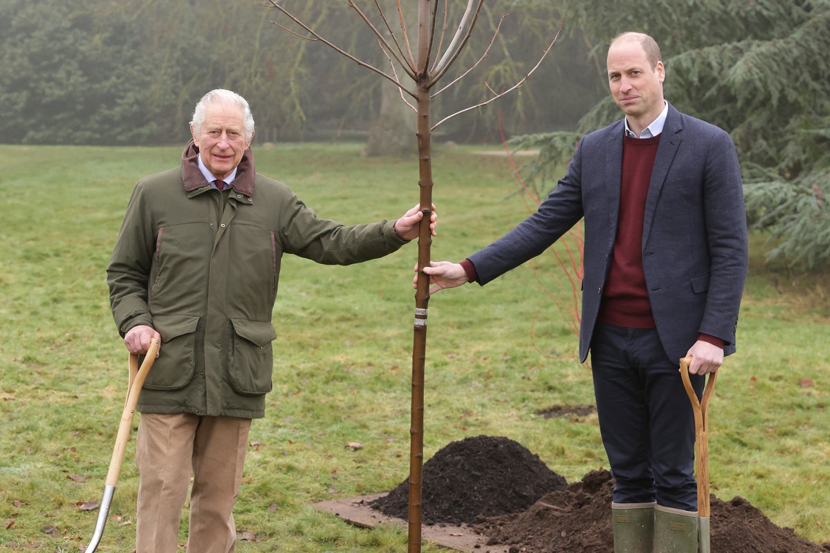 King thanks people behind Queen’s Green Canopy scheme after 3m trees planted