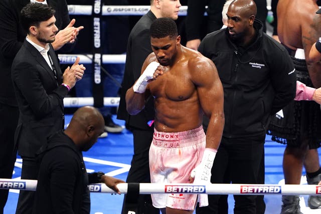 <p>Anthony Joshua after his points win over Jermaine Franklin in April (Zac Goodwin/PA)</p>